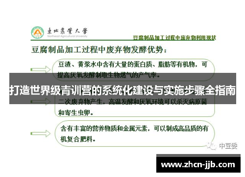 打造世界级青训营的系统化建设与实施步骤全指南