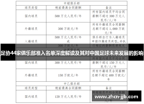 足协44家俱乐部准入名单深度解读及其对中国足球未来发展的影响